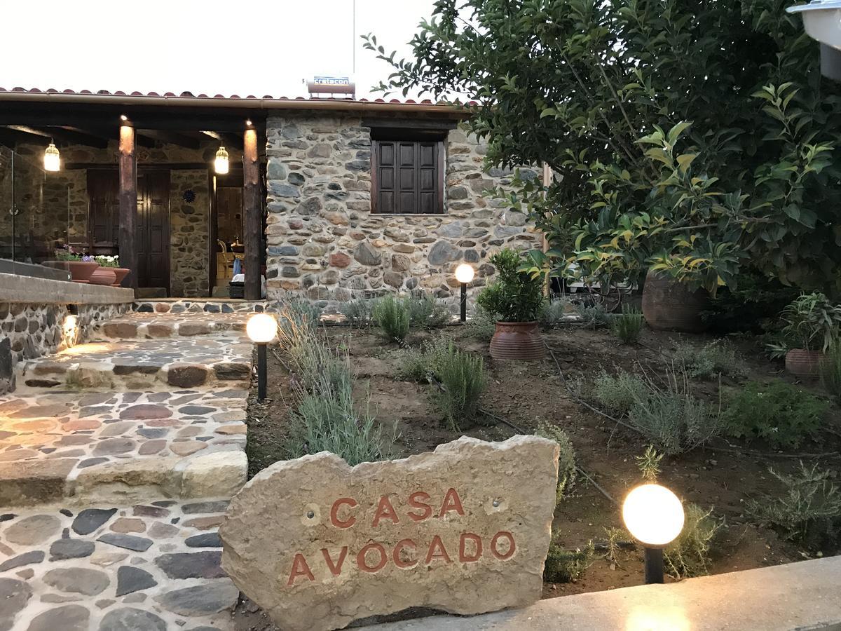 Tavronitis Villa Casa Avocado מראה חיצוני תמונה