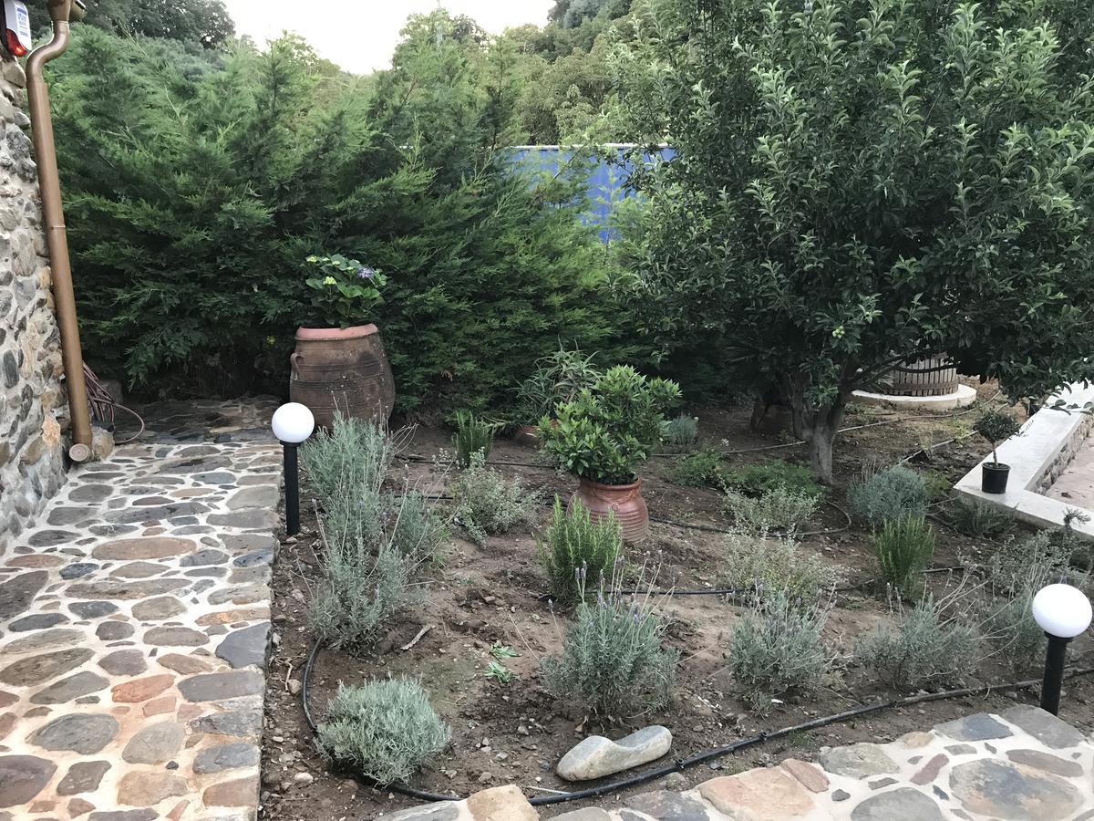 Tavronitis Villa Casa Avocado מראה חיצוני תמונה