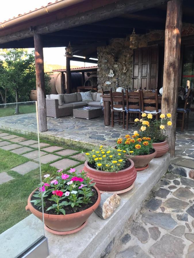Tavronitis Villa Casa Avocado מראה חיצוני תמונה