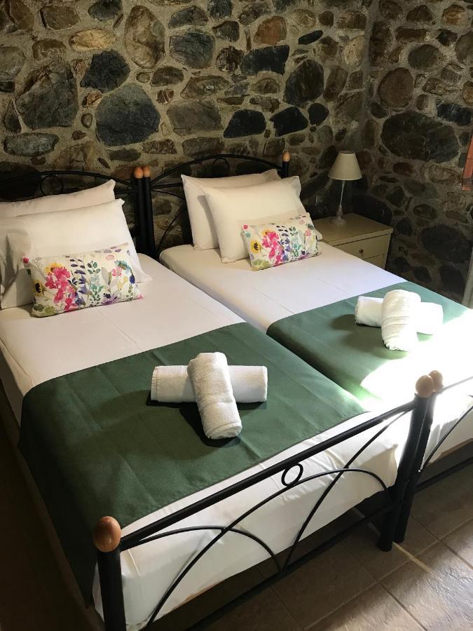 Tavronitis Villa Casa Avocado מראה חיצוני תמונה
